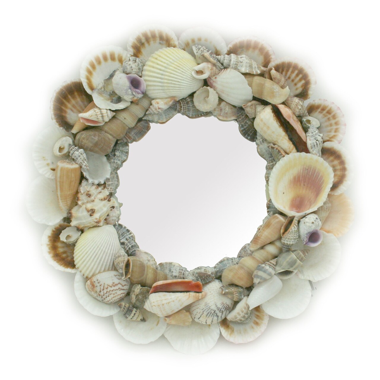 Natural Seashell Frame Small Round Wall Mirror 10 Inch Diameter